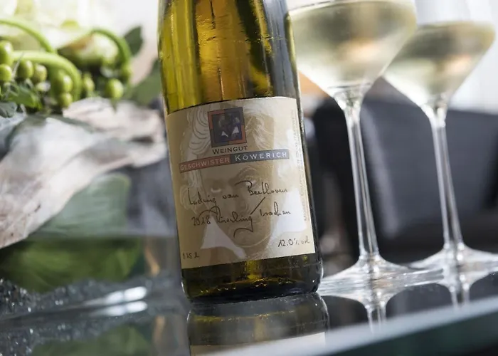 Tolle Hotels in der Nähe des Beethoven Hauses Bonn